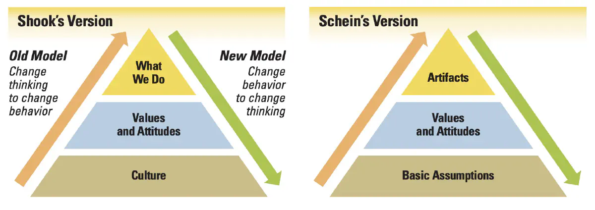 Les modèles de Shook et Schein