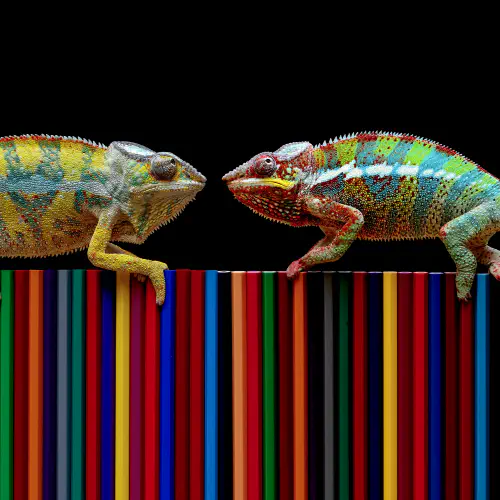 image de l'article : La posture du consultant coach