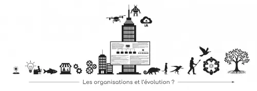 image de l'article Combien vaut une organisation qui refuse d’évoluer ?